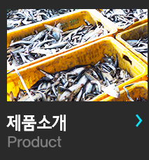제품소개