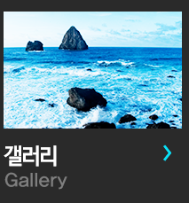 갤러리